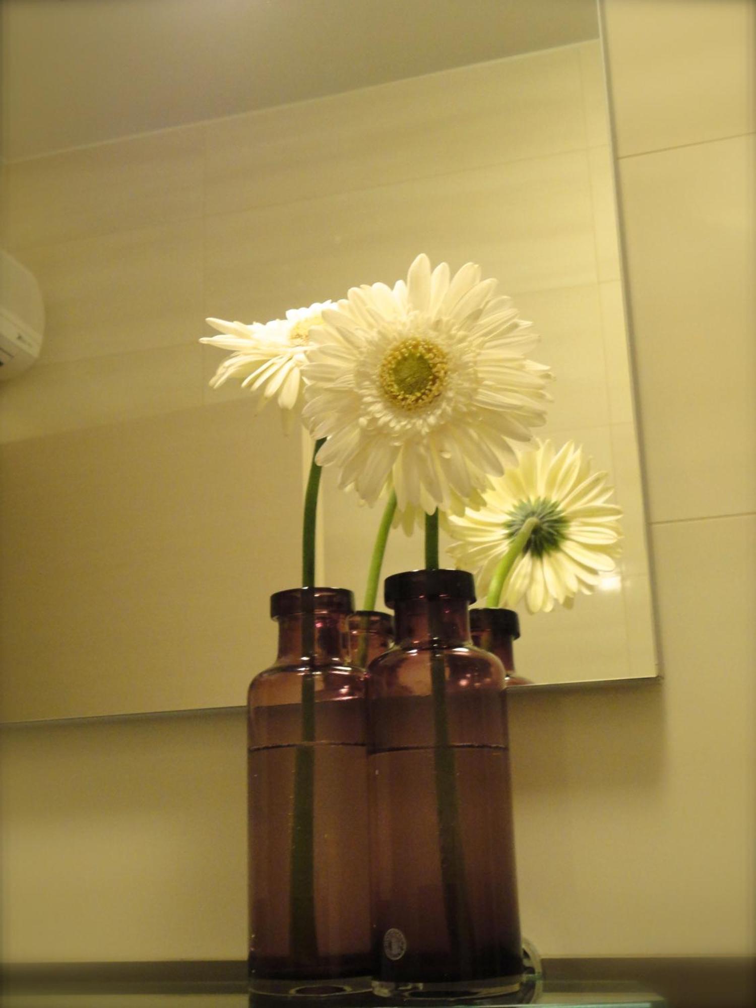 Dubrovnik Sunrise Apartment Cameră foto